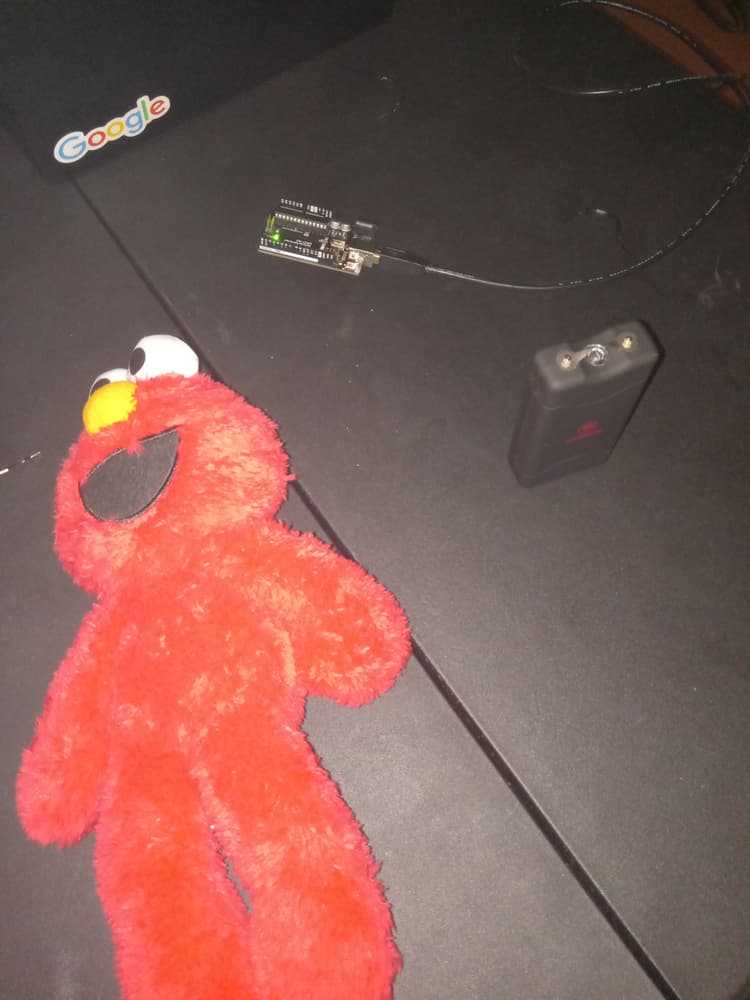 Febuary 13 2024 Image 1